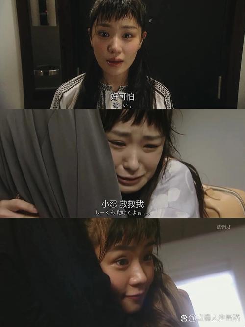 如何免费观看《轮到你了》全40集？隐藏资源与实用指南大揭秘！