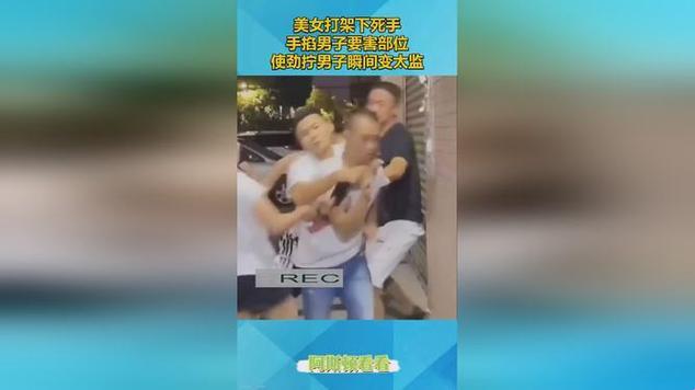 2025年校园性别冲突事件深度解析与智能决策模型实战验证