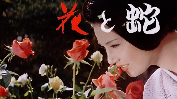 2025影视数据治理实战验证:基于《花与蛇4》多版本溯源的深度解析