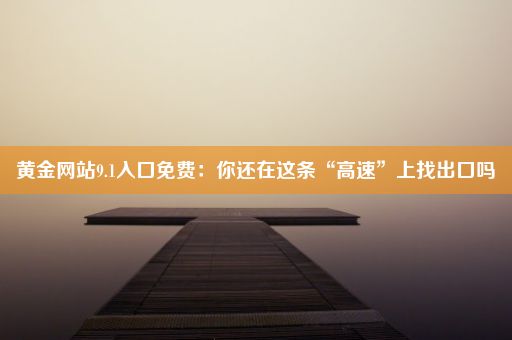 黄金网站9.1入口免费：你还在这条“高速”上找出口吗